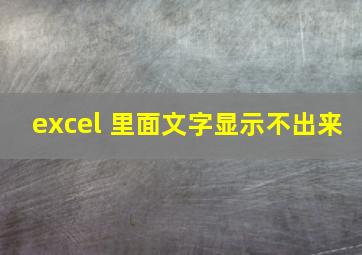 excel 里面文字显示不出来